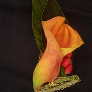 Calla Bridal Party Package