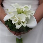 Calla Lily Wedding Flower Package