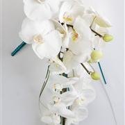 Deluxe Orchid Wedding Flower Package