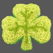 Shamrock