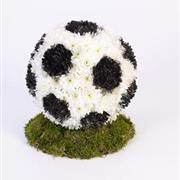 Football Tribute