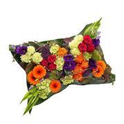 Vibrant Pillow
