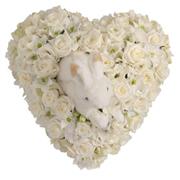  White Rose and Orchid Heart with Rabbit