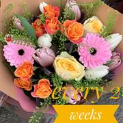 Every 2 weeks subscription