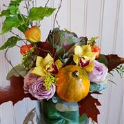 Pumpkin celebrations 