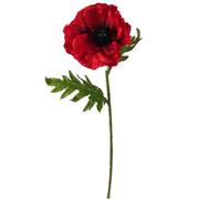 57cm SINGLE POPPY RED