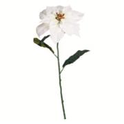 62cm SINGLE POINSETTIA WHITE