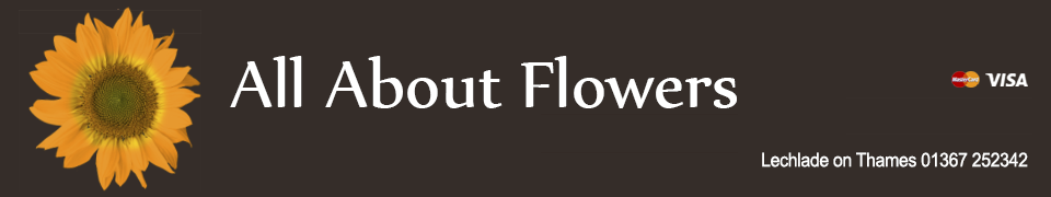 Swindon Florist - Flowers by Margarita