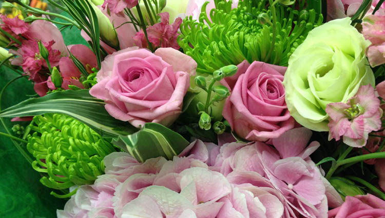 Florist Choice